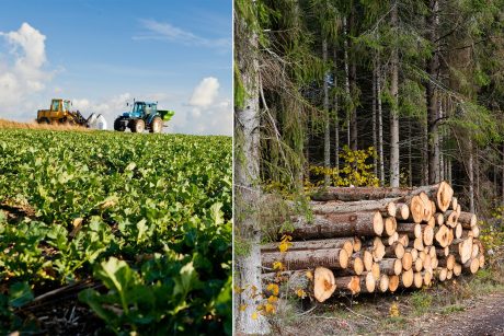 SLU startar helt nytt civilingenjörsprogram  