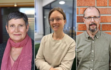 12 tips: Så rustar du dig inför jakten på sommarjobb