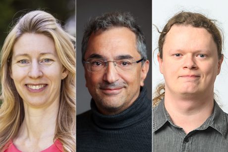 Cecilia Johansson, Mikael Sundström och András Bota