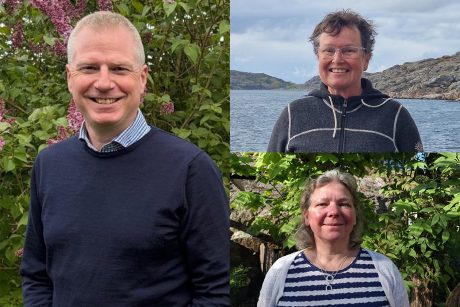 Vänster: Lars Svensson, Saablistan – för svensk industri, samhälle och beredskap. Höger: Maria Sandberg, Ingenjörer i staten och Helene Åhsberg, Ingenjörer för ett hållbart samhälle. Foto: Privat.