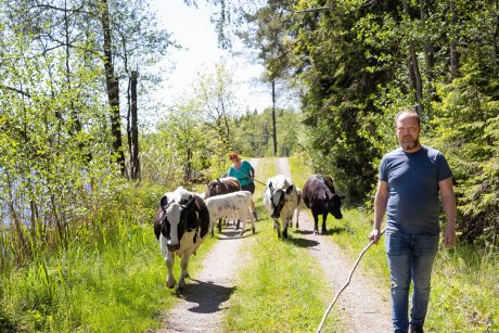 Ingenjörerna Erika och Fredrik Kensander har startat om sitt liv på en enslig skogsgård utanför Ljungskile. Fredrik pendlar till sitt konsultjobb i Göteborg och hemma ansvarar han för maskinerna, kör höbalar, plogar vägen och hjälper till med djuren. Foto: Carina Gran.