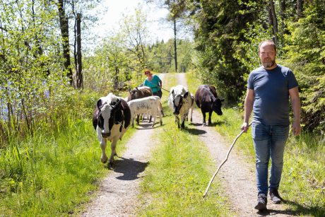 Ingenjörerna Erika och Fredrik Kensander har startat om sitt liv på en enslig skogsgård utanför Ljungskile. Foto: Carina Gran.