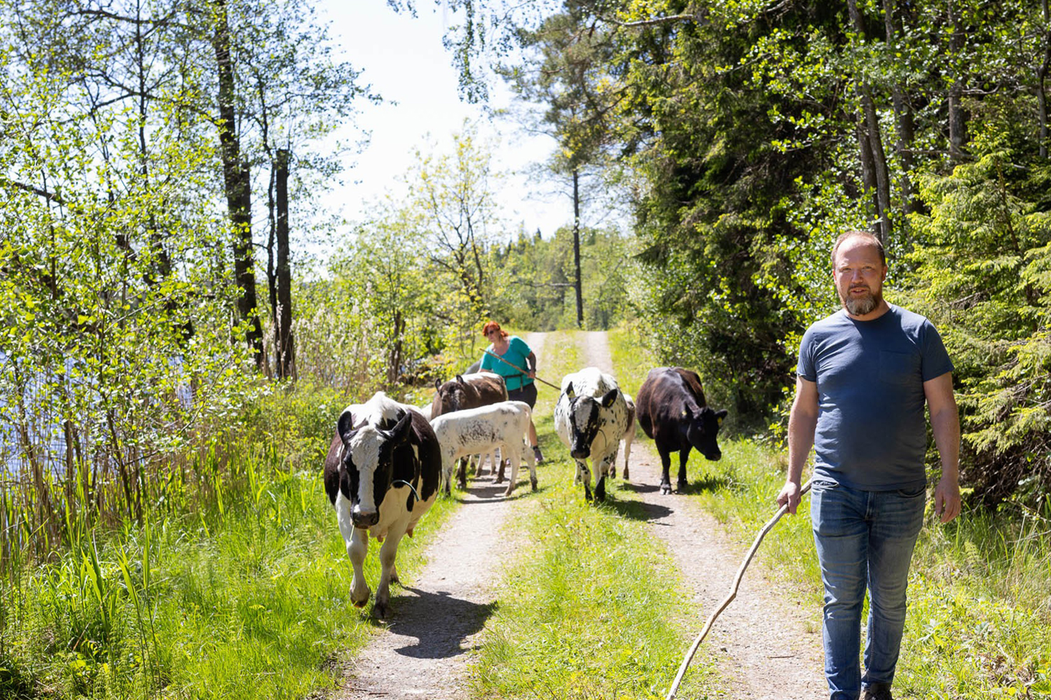 Vargfjället_startbild Ingenjörerna Erika och Fredrik Kensander har startat om sitt liv på en enslig skogsgård utanför Ljungskile. Fredrik pendlar till sitt konsultjobb i Göteborg och hemma ansvarar han för maskinerna, kör höbalar, plogar vägen och hjälper till med djuren. Foto: Carina Gran.